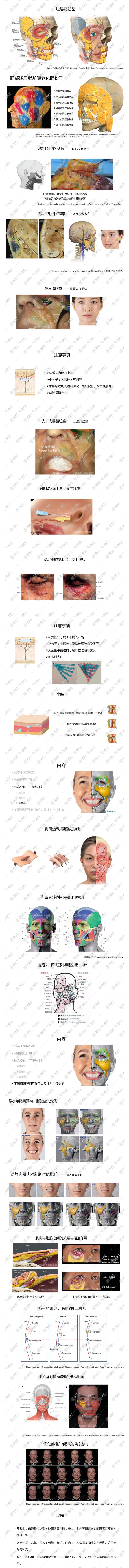微创美容高峰论坛丨动态平衡提升理论与注射.png